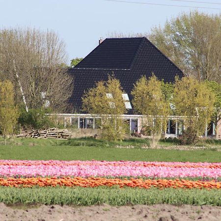 B&B Heeringhuusen Haringhuizen Zewnętrze zdjęcie