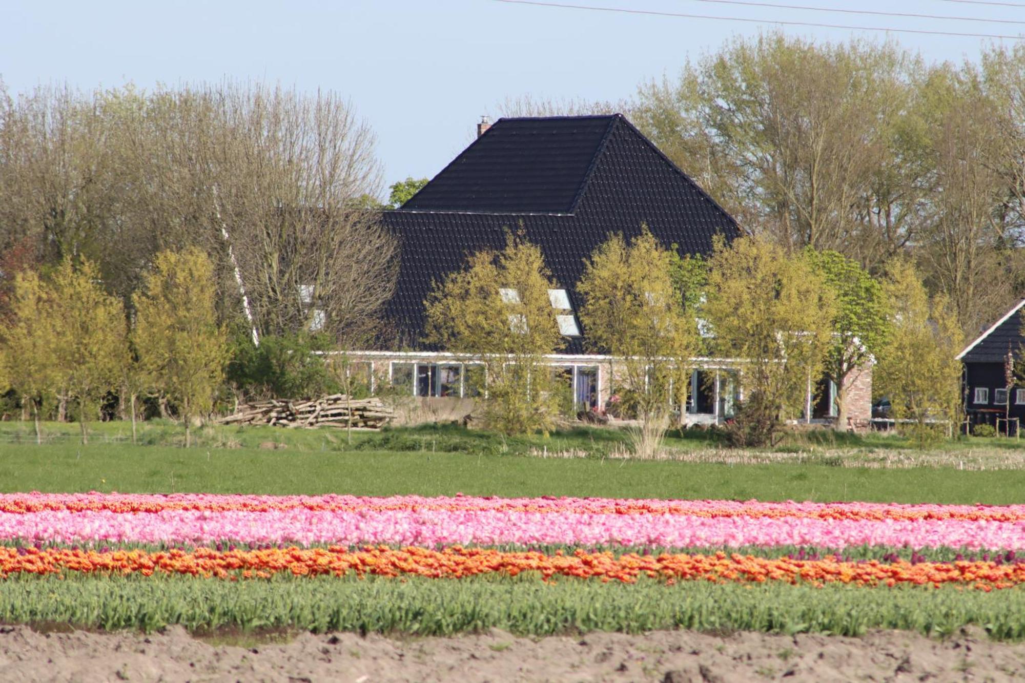 B&B Heeringhuusen Haringhuizen Zewnętrze zdjęcie